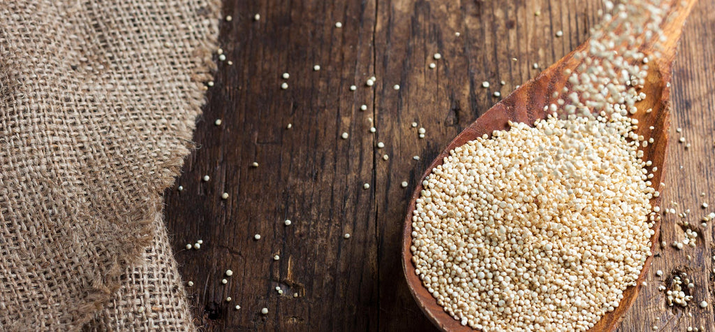 Quinoa natürliche Pflanzenstoffe Nahrungsergänzung
